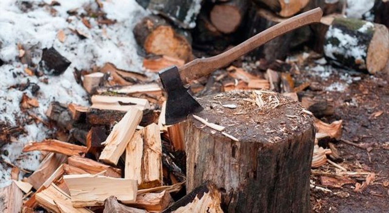 maderas más duras del mundo
