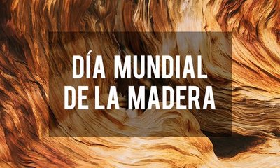 Día de La Madera: ¿Qué se Celebra cada 21 de Marzo?