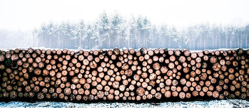 madera importada deforestación