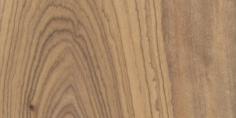 madera olivo textura