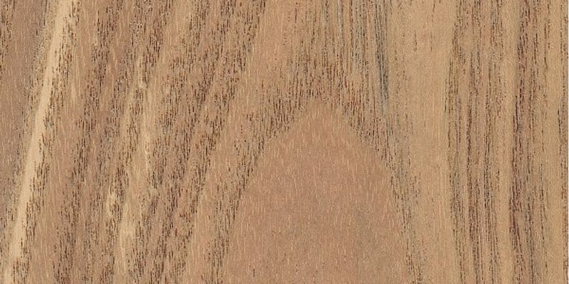 madera de paraiso o cinamomo