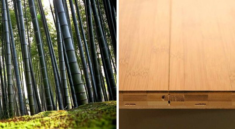 suelo de bambu ecológico