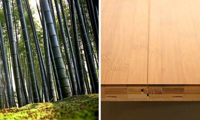 Suelos de Bambú: En toda la Casa, también en Cocinas y Baños